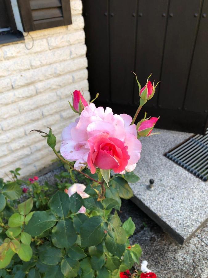 Anitas B&B Stockholm/Vaellingby Екстериор снимка